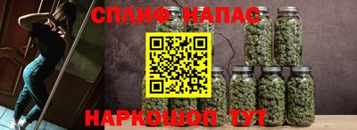 прущие грибы Гай