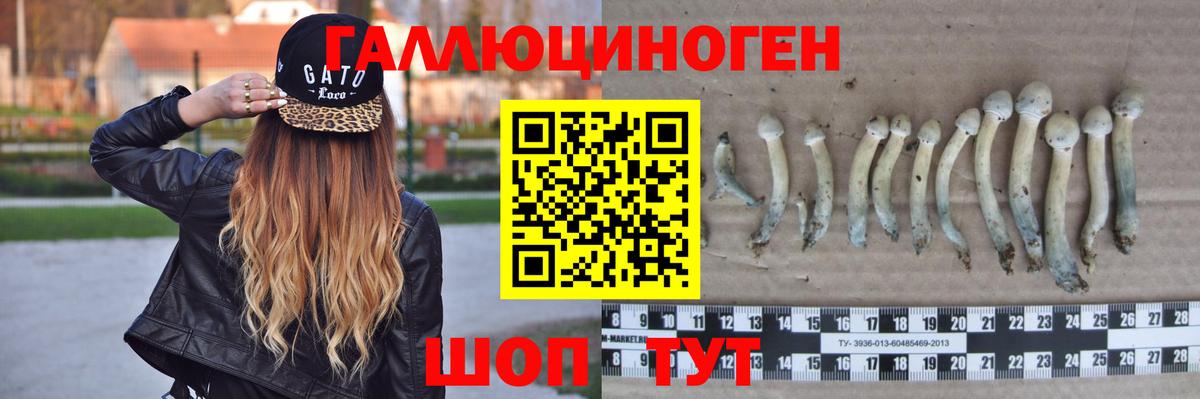 Галлюциногенные грибы Psilocybe  Вход с VPN  Галлюциногенные грибы мухоморы  Вязники 