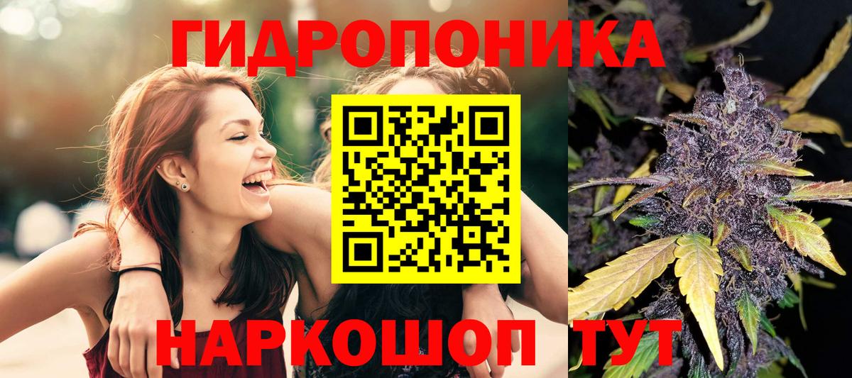 Шишки марихуана OG Kush  Конопля тримм  Вход с VPN  Вязники 